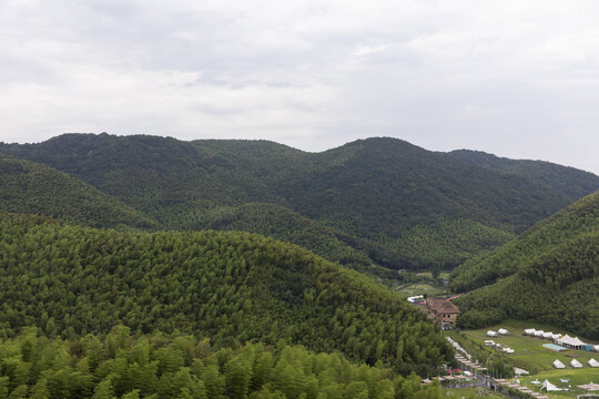 莫干山竹海