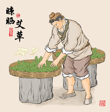 艾草晾曬插畫