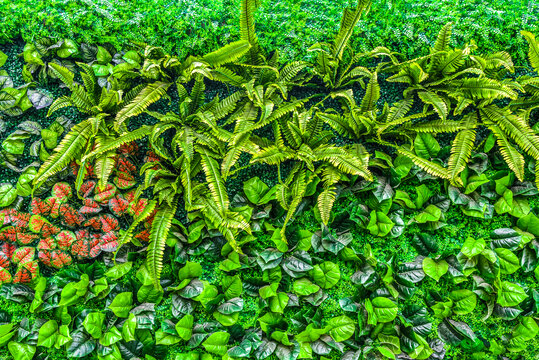 仿真植物墙