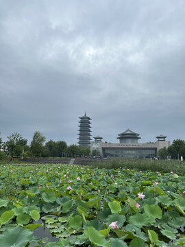 扬州大运河博物馆