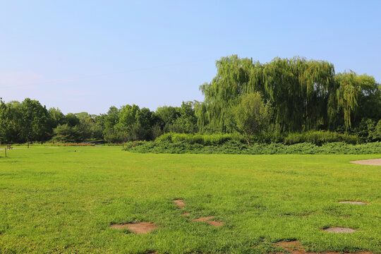 北京朝阳公园景色