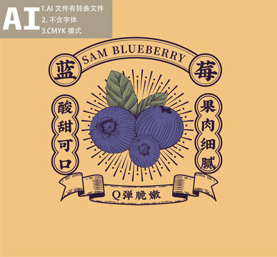 藍(lán)莓包裝