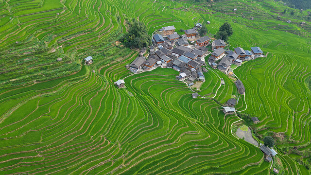 加榜梯田