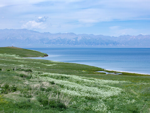 夏天新疆赛里木湖的自然风景