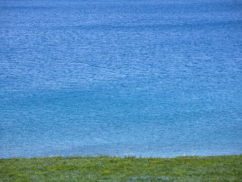 赛里木湖的蓝色湖面和草原
