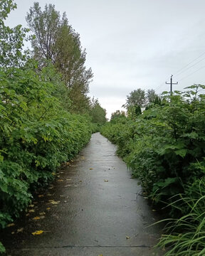 阴天雨道