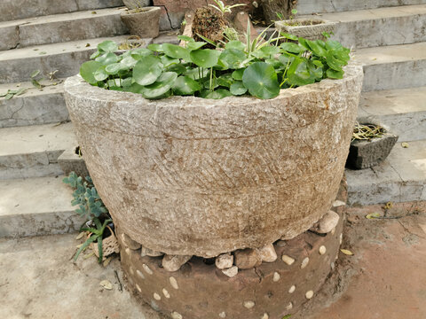 雕花石缸水缸