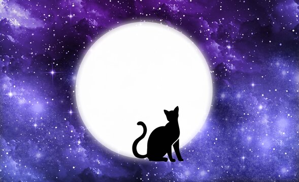 星空月亮猫