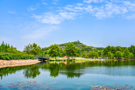 辰山植物园