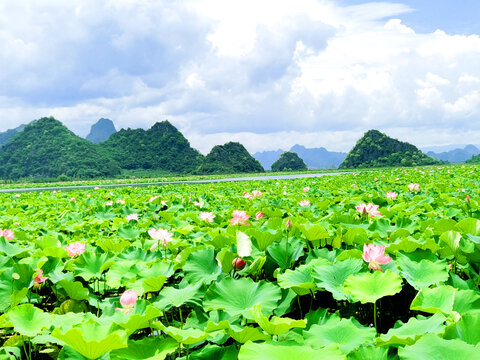 普者黑风景区