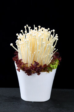 金針菇