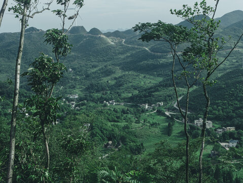 高山云海