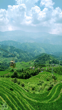 梯田美景