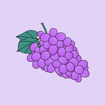手繪葡萄矢量插畫