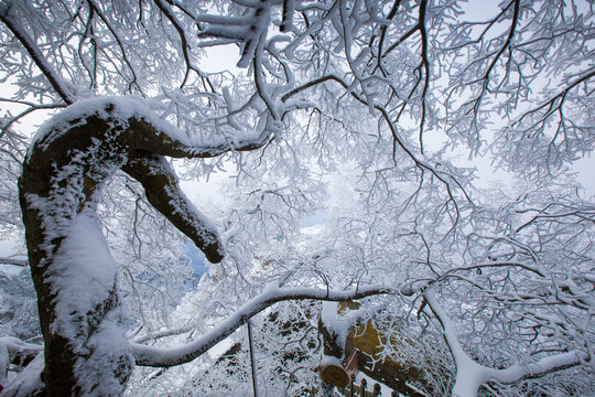 雪浴武当