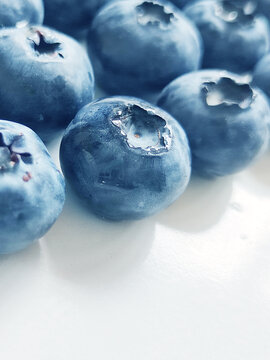 蓝莓摄影