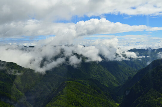 高山云雾