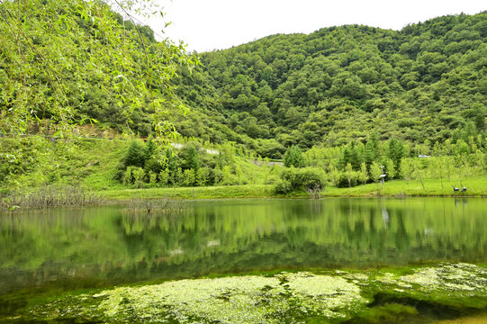 湿地公园