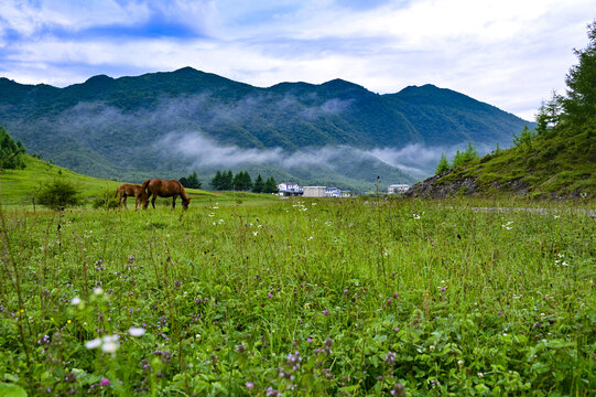 巫溪红池坝风景美如画