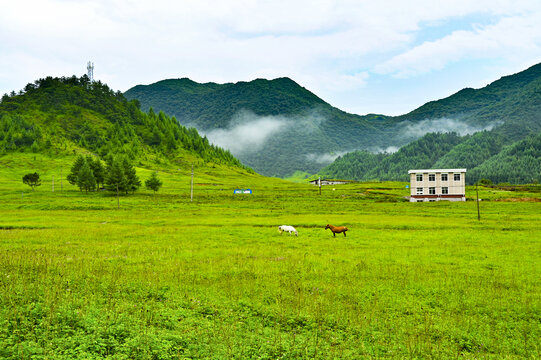 巫溪红池坝风景美如画