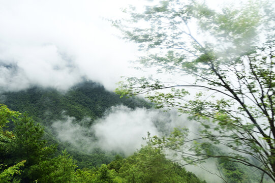 巫溪红池坝风景美如画