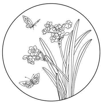 水仙花鳥白描線稿國潮矢量手繪