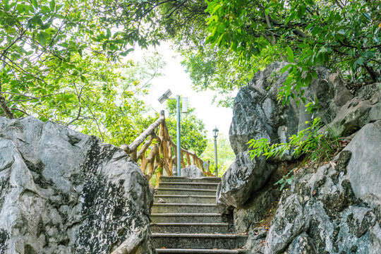 白端石古道山道