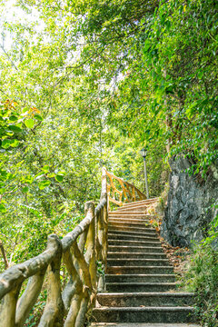 绿色山林登山步道