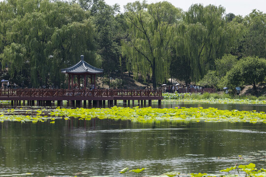 圆明园公园景色