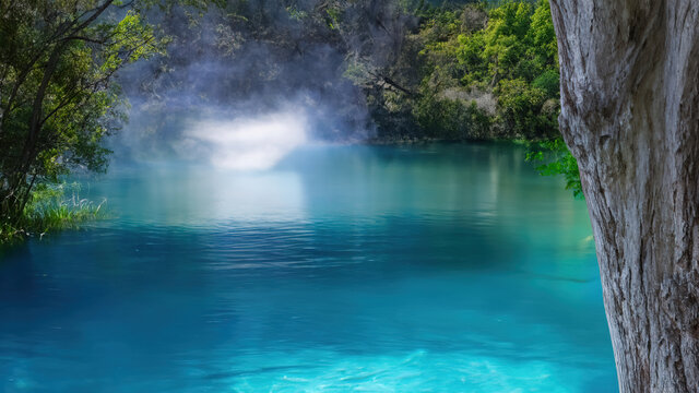 碧绿的水边美景