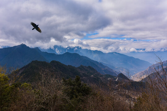 苍鹰群山