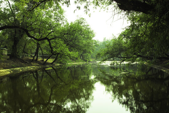 水上公园旅游景点山青绿成荫