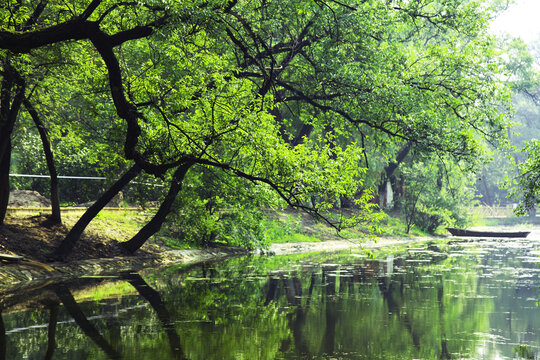 水上公园旅游景点山青绿成荫