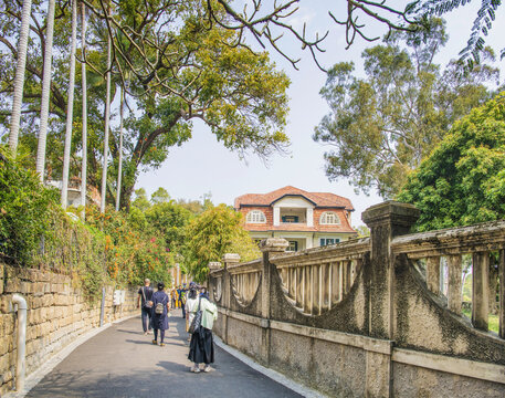 鼓浪屿柏油路与林屋别墅院楼