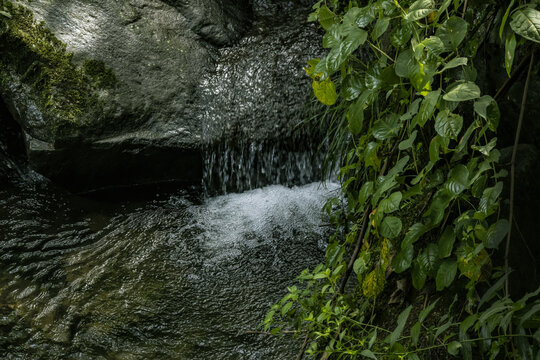 水景