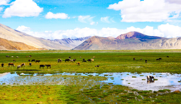 自然风景