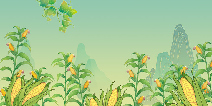 国风玉米地背景海报手绘插画