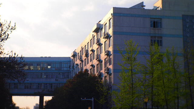 大学教学楼建筑