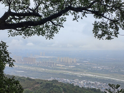 城东远眺