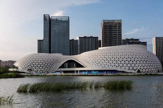 杭州金沙湖大剧院