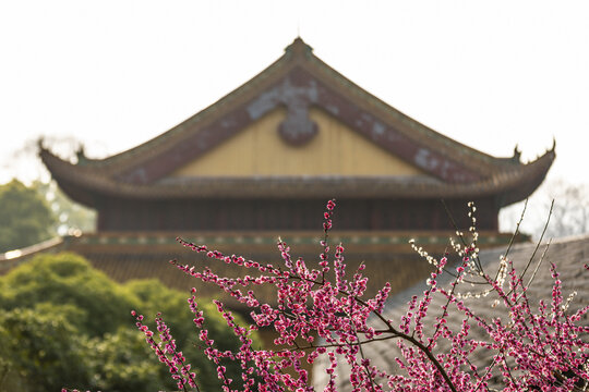 杭州净慈寺