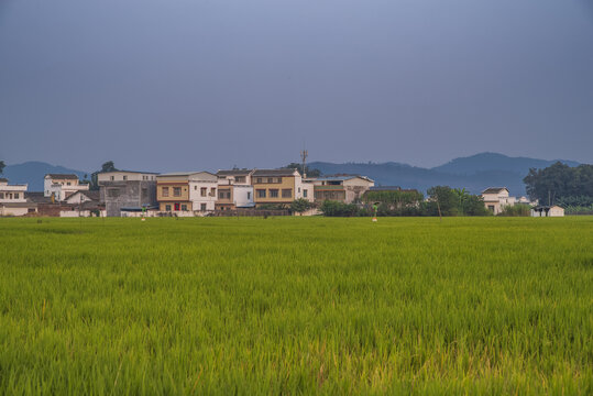 乡村风景田园