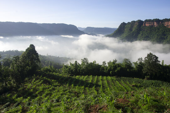 云雾山村