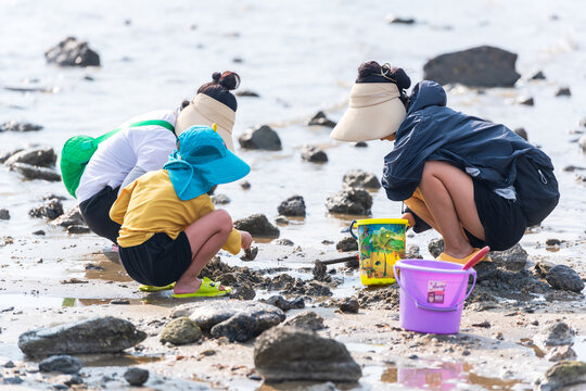 赶海的人