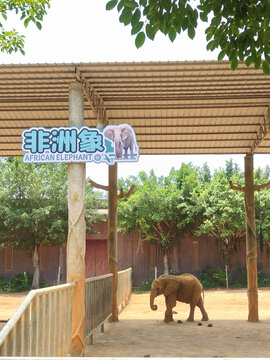 平南动物园