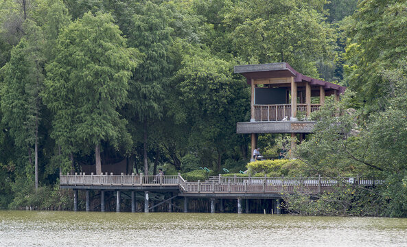 广东肇庆市端州区仙女湖美景