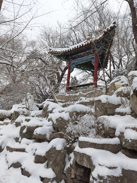 山路雪景