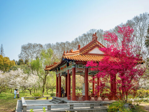 南京梅花山仿古建筑