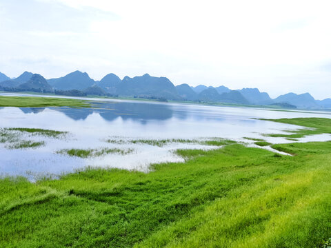 湖泊湿地