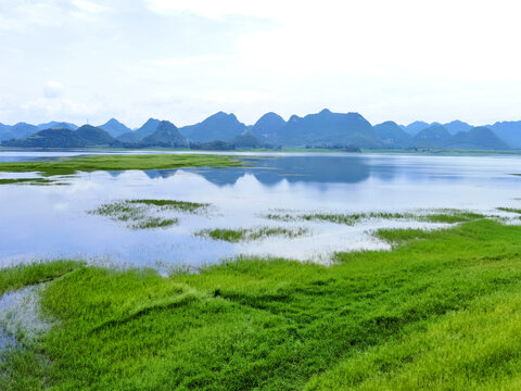 湖泊湿地风景